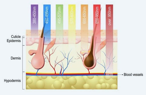 infrared light spectrum to skin