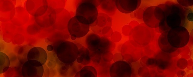 blood cells