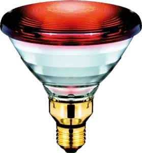 Philips Infrared Heat Lamp