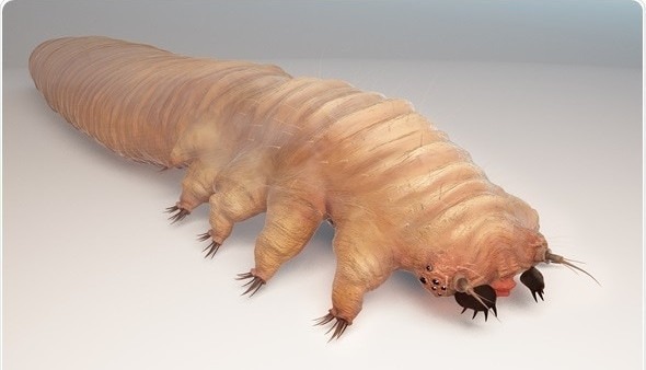 facial-demodex-mites