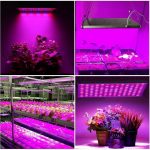 grow lights as light therapy