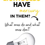 Do Incandescent Light Bulbs Contain Mercury