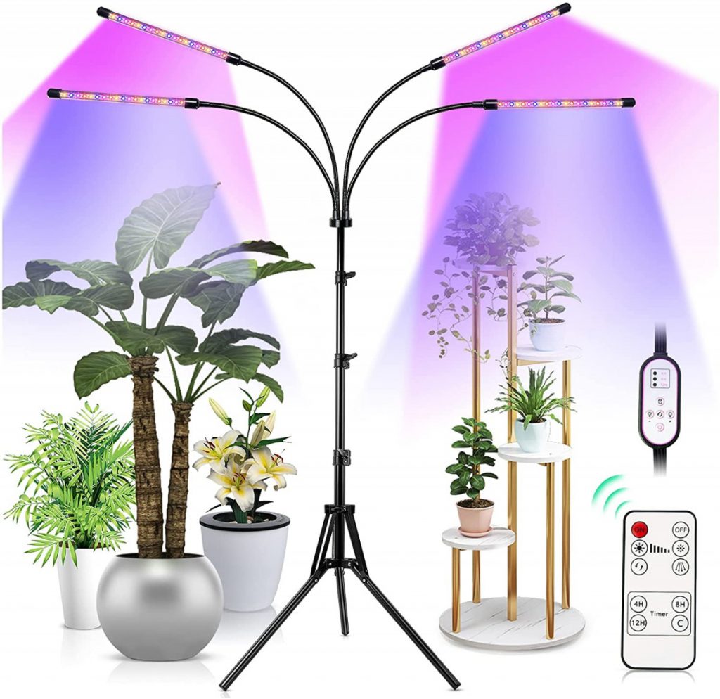 why-do-plants-absorb-red-and-blue-light-infrared-for-health