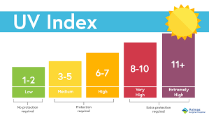 Best UV Index to Tan
