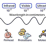What is Special About Infrared?