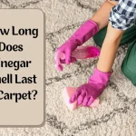 How-Long-Does-Vinegar-Smell-Last-In-Carpet