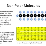 Non-Polar20Molecules
