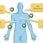 Is Negative Ion Good for Health?