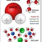 molecules_ds