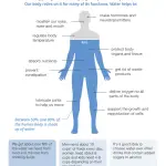 What is the Best Water for Your Body?