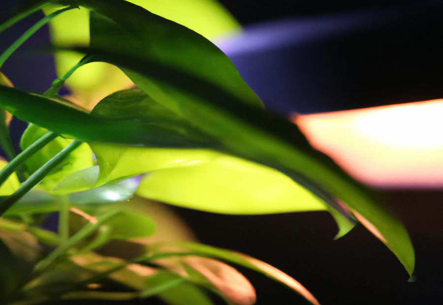 Benefits of Light Therapy Lamps for Plants - Do light therapy lamps help plants 