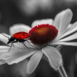 can bugs see infrared light