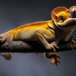 can a crested geckos see a infrared