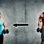 bodybuilding vs calisthenics